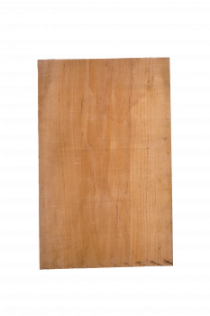 Body Alder, European,1-pc., Unique Piece #058